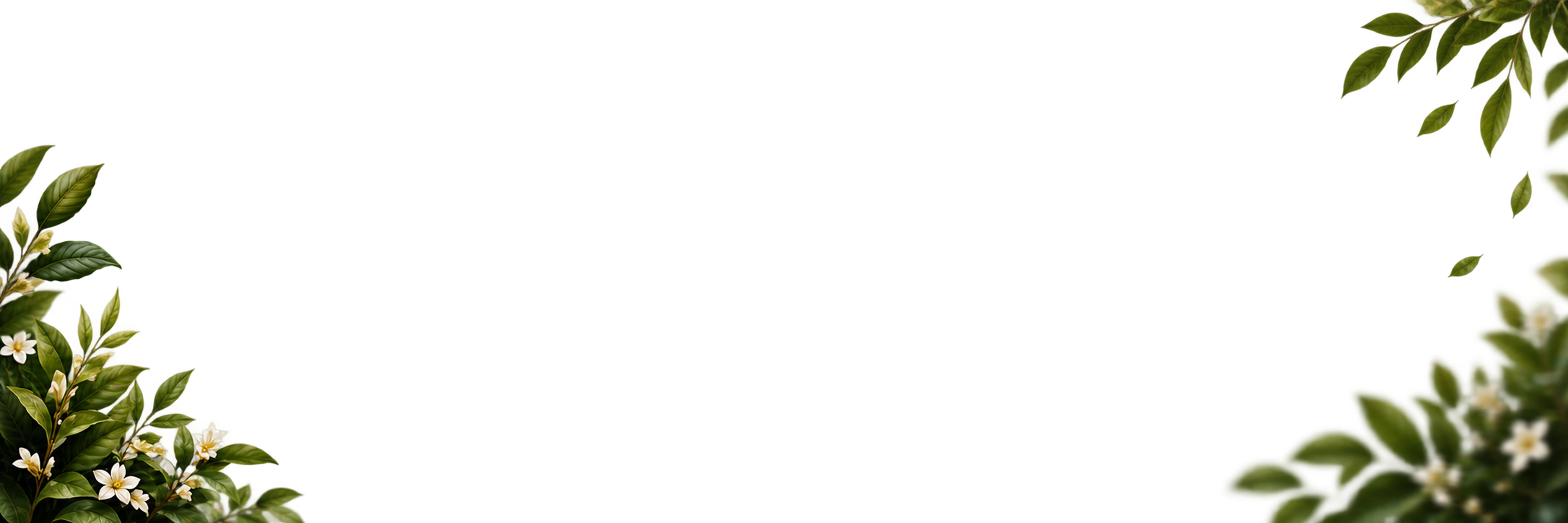 Background Design